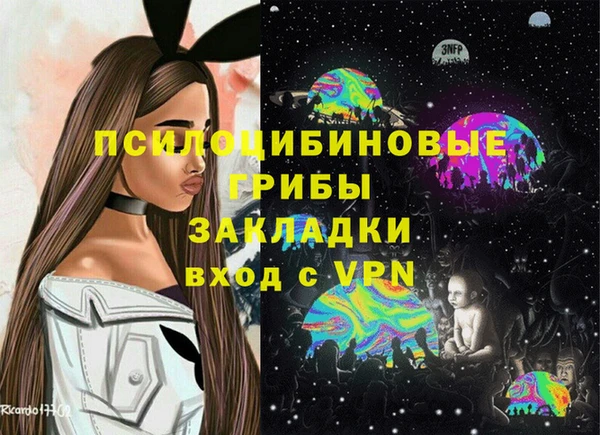 круглые Алзамай