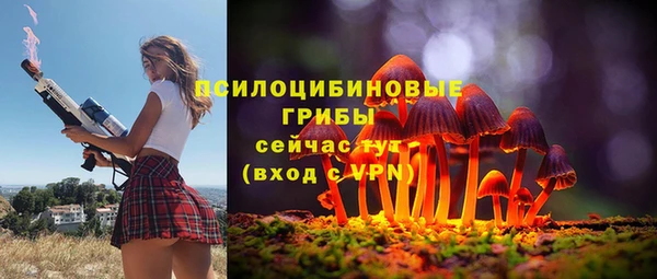 2c-b Алексеевка