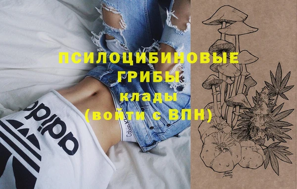 марки nbome Пролетарск