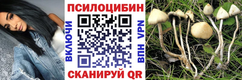 наркотики Лагань Псилоцибиновые грибы мицелий